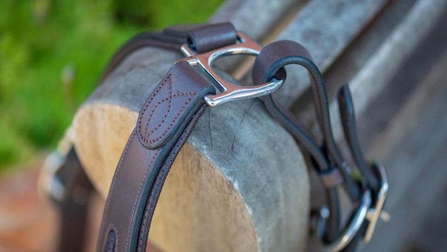 The Ultimate Guide to Head Collars for Horses